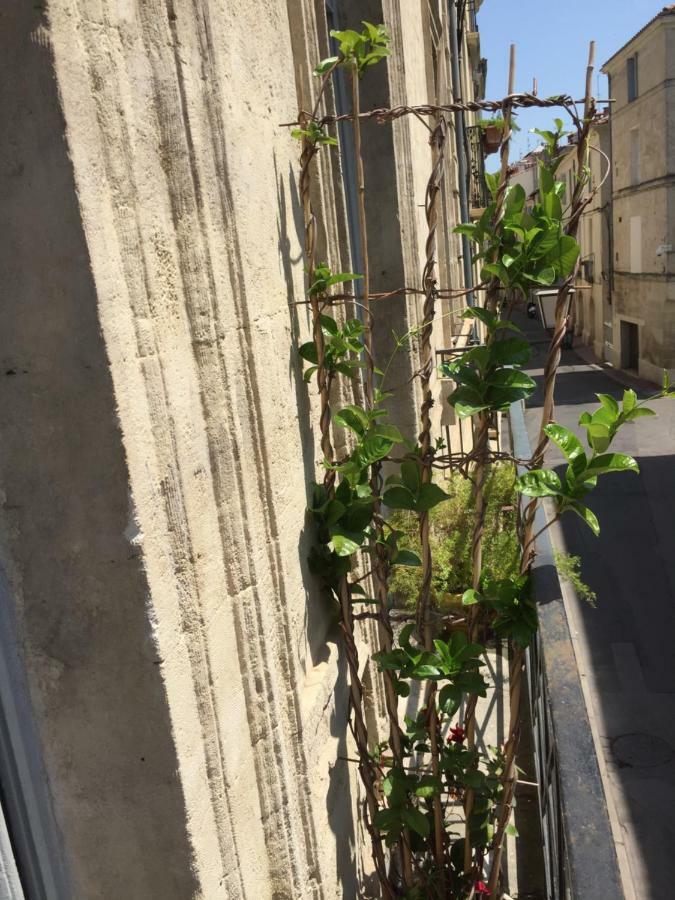 Chez Noelle Et Emmanuel Leilighet Montpellier Eksteriør bilde